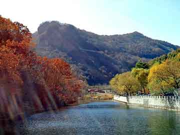 澳门天天彩期期精准平肖，两生花祭